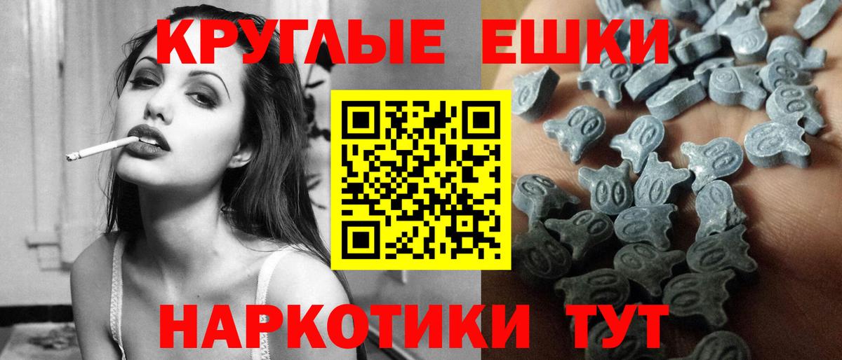 Ecstasy Philipp Plein  Вход с VPN  Ecstasy бентли  Топки 