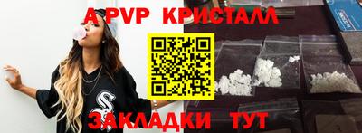 соль ск Новозыбков