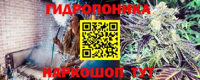 соль ск Новозыбков