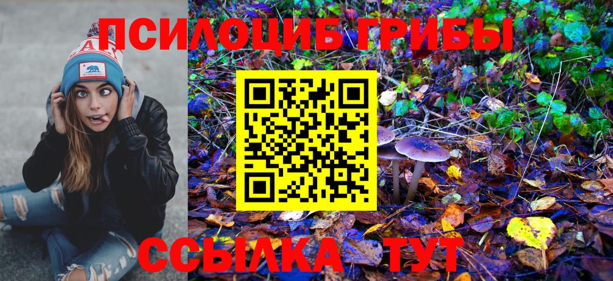 Псилоцибиновые грибы Psilocybine cubensis Топки