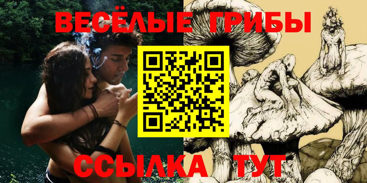 Псилоцибиновые грибы Magic Shrooms  магазин продажи   Топки  Вход с VPN 